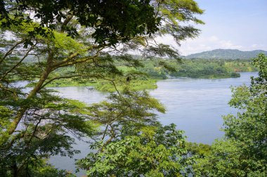 Uganda 'da Jinja yakınlarındaki Victoria Nil, Mayıs ayının güneşli bir günü.