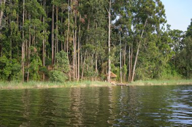 Lake Bunyonyi (Uganda) on a sunny day in June