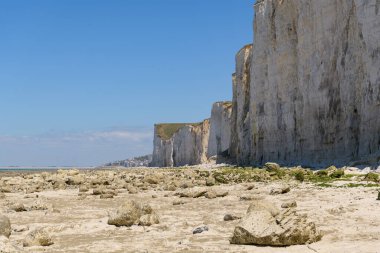 Yazın güneşli bir günde Ault yakınlarındaki sahil ve yüksek uçurumlar, mavi gökyüzü, kuzey Fransa