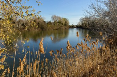 Arles yakınlarında güneşli bir bahar akşamı, Van Gogh köprüsü arka planda.