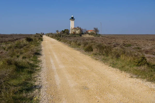 Der Leuchtturm Gacholle Der Camargue Provence Frankreich Einem Sonnigen Frühlingstag — Stockfoto