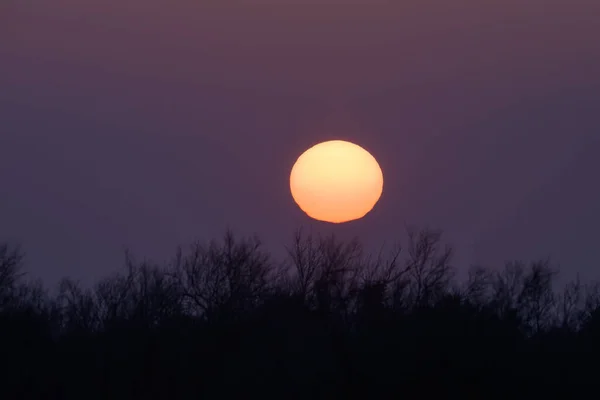 Wschód Słońca Mokradłach Camargue Prowansja Francja Jasny Poranek Wiosną — Zdjęcie stockowe