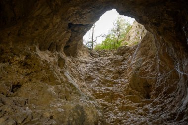 Grotte de Peirou Alpiller 'de (Provence, Fransa) güneşli bir bahar gününde