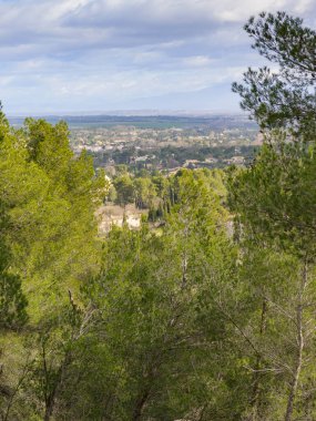 Bahar mevsiminde Alpiller 'de (Provence, Fransa) güneşli bir günün sabahı