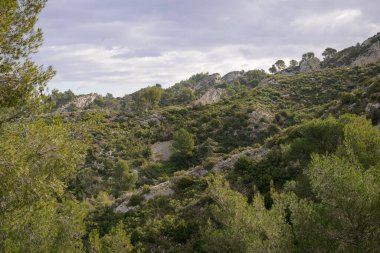 Bahar mevsiminde Alpiller 'de (Provence, Fransa) güneşli bir günün sabahı