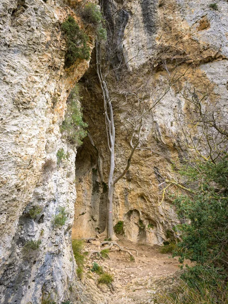 Grotte Peirou Alpilles Provence France Sunny Day Springtime — Stock Photo, Image