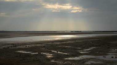 Bahar mevsiminde güneşli bir günde Camargue 'de sulak alanlar, dramatik gökyüzü, Provence (Fransa))