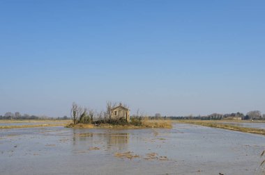 Bahar mevsiminde güneşli bir günde Camargue 'de sulak alanlar, eski ev, Provence (Fransa))