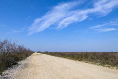 Baharda güneşli bir günde Camargue Yolu, mavi gökyüzü, Provence (Fransa))