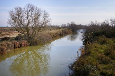 Bahar mevsiminde güneşli bir günde Camargue Kanalı, Provence (Fransa)