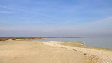 Bahar zamanı güneşli bir günde Camargue 'de sulak alanlar, Provence (Fransa)