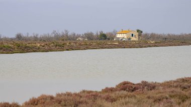 Bahar, çiftlik, Provence 'de güneşli bir günde Camargue' de sulak alanlar (Fransa)