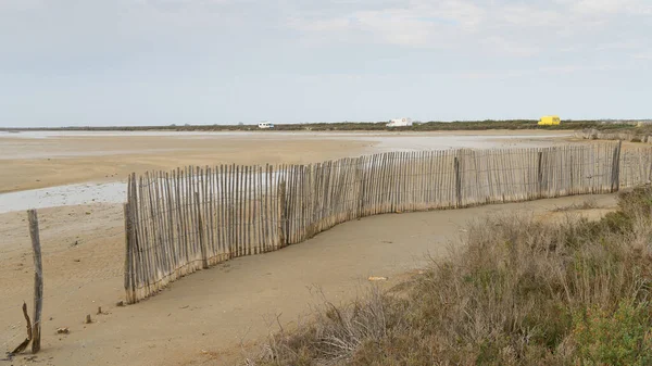 Mokřady Camargue Zamračený Den Jaře Písečná Pláž Provence Francie — Stock fotografie