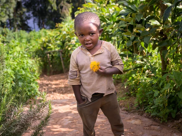 2022年6月15日 乌干达的Bunyonyi湖 在Bunyonyi湖的一个岛上 一个手里拿着一朵黄花的小乌干丹男孩 — 图库照片