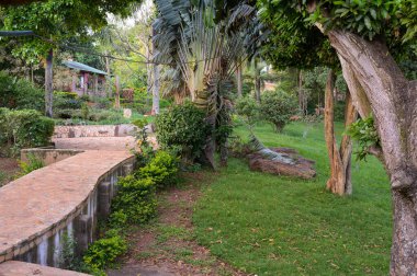 Palmiye ağaçları olan güzel bir tropikal bahçeden geçen küçük bir patika.