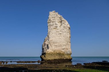 Etretat 'ın tebeşir kayalıkları (Normandiya Fransa) ve L' Aiguille adı verilen taş iğne, yazın güneşli bir gün.