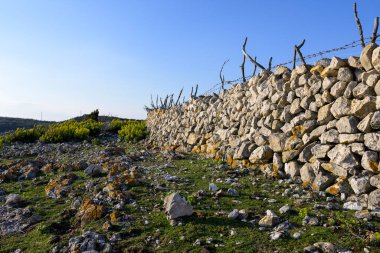 İlkbaharda güneşli bir sabahta Cres (Hırvatistan) adasındaki eski taş duvar, mavi gökyüzü