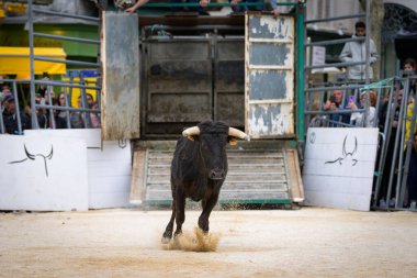 Arles, Fransa - 11 Mart 2023: Taurine d 'Arles Okulu tarafından düzenlenen geleneksel ücretsiz bir etkinlik olan Capea du Forum' da boğa güreşi