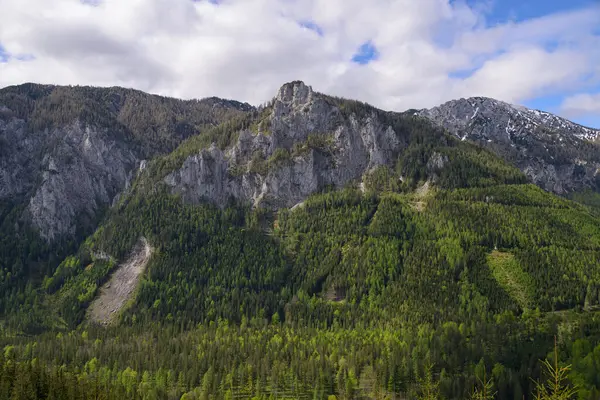 İlkbaharda bulutlu bir günde Hochschwab (Avusturya) yakınlarında bir vadi