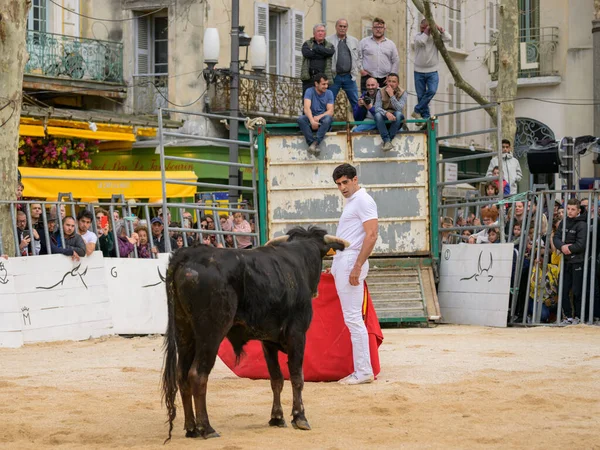 Arles, Fransa - 11 Mart 2023: Taurine d 'Arles Okulu tarafından düzenlenen geleneksel ücretsiz bir etkinlik olan Capea du Forum' da boğa güreşi