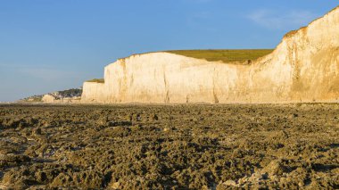 Yazın güneşli bir günde Ault yakınlarındaki sahil ve yüksek uçurumlar, mavi gökyüzü, alçak gelgit, kuzey Fransa