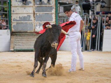 Arles, Fransa - 11 Mart 2023: Taurine d 'Arles Okulu tarafından düzenlenen geleneksel ücretsiz bir etkinlik olan Capea du Forum' da boğa güreşi