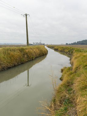 Kışın bulutlu bir sabahta Arles (Fransa) yakınlarındaki kanallar, tarlalar ve çayırlar