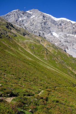 Sulden yakınlarındaki Ortler Alpleri (Güney Tirol, İtalya) yaz aylarında güneşli bir günde