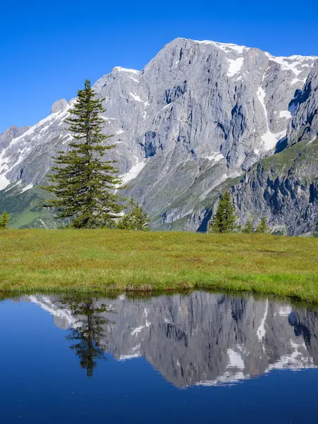 stock image The Hochkoenig mountain on a sunny day in summer, blue sky, reflection in a small pond