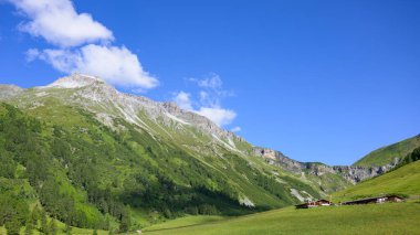 Güney Tyrol 'daki dağlar Yazın güneşli bir günde, Orman, çayır, mavi gökyüzü