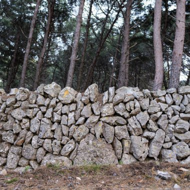 Hırvatistan 'ın Cres kenti yakınlarındaki çam ormanı, taş duvarlar ve merdivenler
