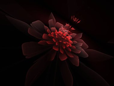 Koyu arkaplanda hazırlanmış fraktal çiçeğin fantastik bir görüntüsü.