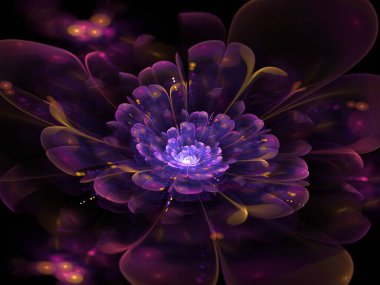 Koyu arkaplanda hazırlanmış fraktal çiçeğin fantastik bir görüntüsü.