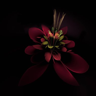 Koyu arkaplanda hazırlanmış fraktal çiçeğin fantastik bir görüntüsü.