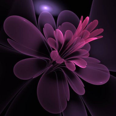 Koyu arkaplanda hazırlanmış fraktal çiçeğin fantastik bir görüntüsü.