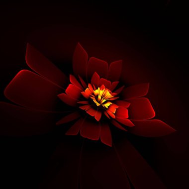 Fantezi fraktal çiçek koyu arka planda. Grafik tasarımınız için desen olarak çiçek