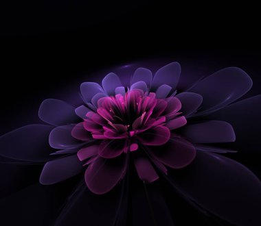 Fantezi fraktal çiçek koyu arka planda. Grafik tasarımınız için desen olarak çiçek