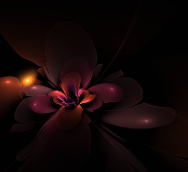 Fantezi fraktal çiçek koyu arka planda. Grafik tasarımınız için desen olarak çiçek