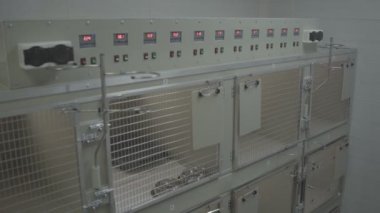 Veteriner kliniği. Hayvan hastanesi. Hayvan kafesleri. Yakın plan.