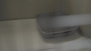 Veteriner Kliniği. Hayvan kafesi. Hayvan hastanesi. Hayvan bakımı. Yakın plan.