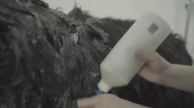 Tımarcı hayvanı şampuanlıyor. Tımarlama. Hayvanlar için hizmet. Büyük köpek. Yakın plan.