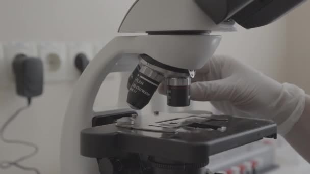 Labortechniker Beim Einstellen Des Mikroskops Nahaufnahme Labortechniker Beim Arbeiten Mit — Stockvideo