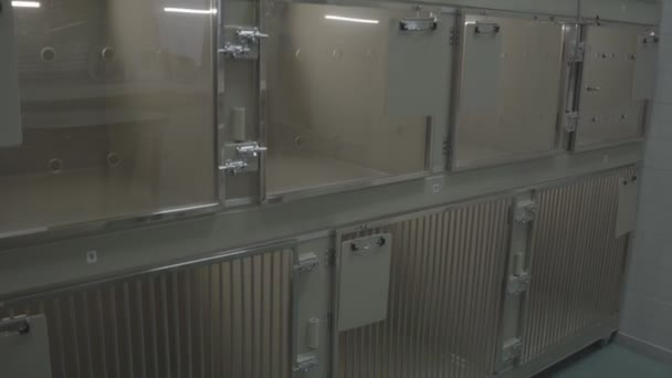 Moderne Tierklinik Tierstation Käfige Für Tiere Pflege Für Tiere Tierbehandlung — Stockvideo