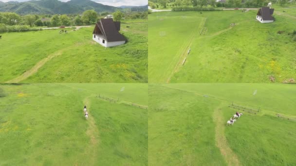 Reiten Ökotourismus Reiturlaub Split Screen Drohnenaufnahmen — Stockvideo