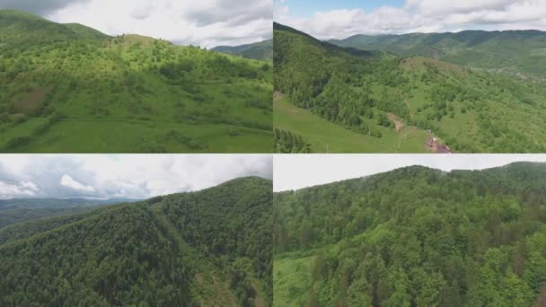 Montagne Foresta Ecoturismo Schermo Diviso Ritiro Della Natura Primavera Estate Clip Video