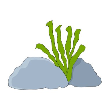 Kayaların arasında büyüyen bitkiler. vektör tasarımı illüstrasyon sanatı