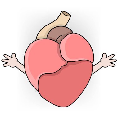 Organ bağışçıları için sağlık faaliyetlerinin bir göstergesi, karikatür karakteri gibi sağlıklı ve mutlu bir kalp.