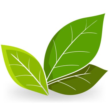 Çevre dostu doğal malzemeler hakkında düz logo, üç yaprak simgesi