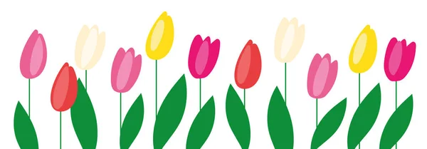 Bannière Horizontale Blanche Fond Floral Décoré Fleurs Multicolores Tulipes Feuilles — Image vectorielle