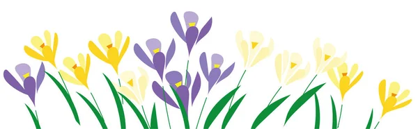 Vodorovný Bílý Prapor Nebo Květinové Pozadí Zdobené Pestrobarevné Kvetoucí Květiny — Stockový vektor